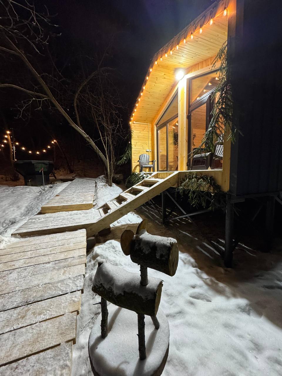 Фото Веселые гуси