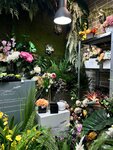 Real Touch Orel (Kromskaya ulitsa, 9), artificial plants and flowers