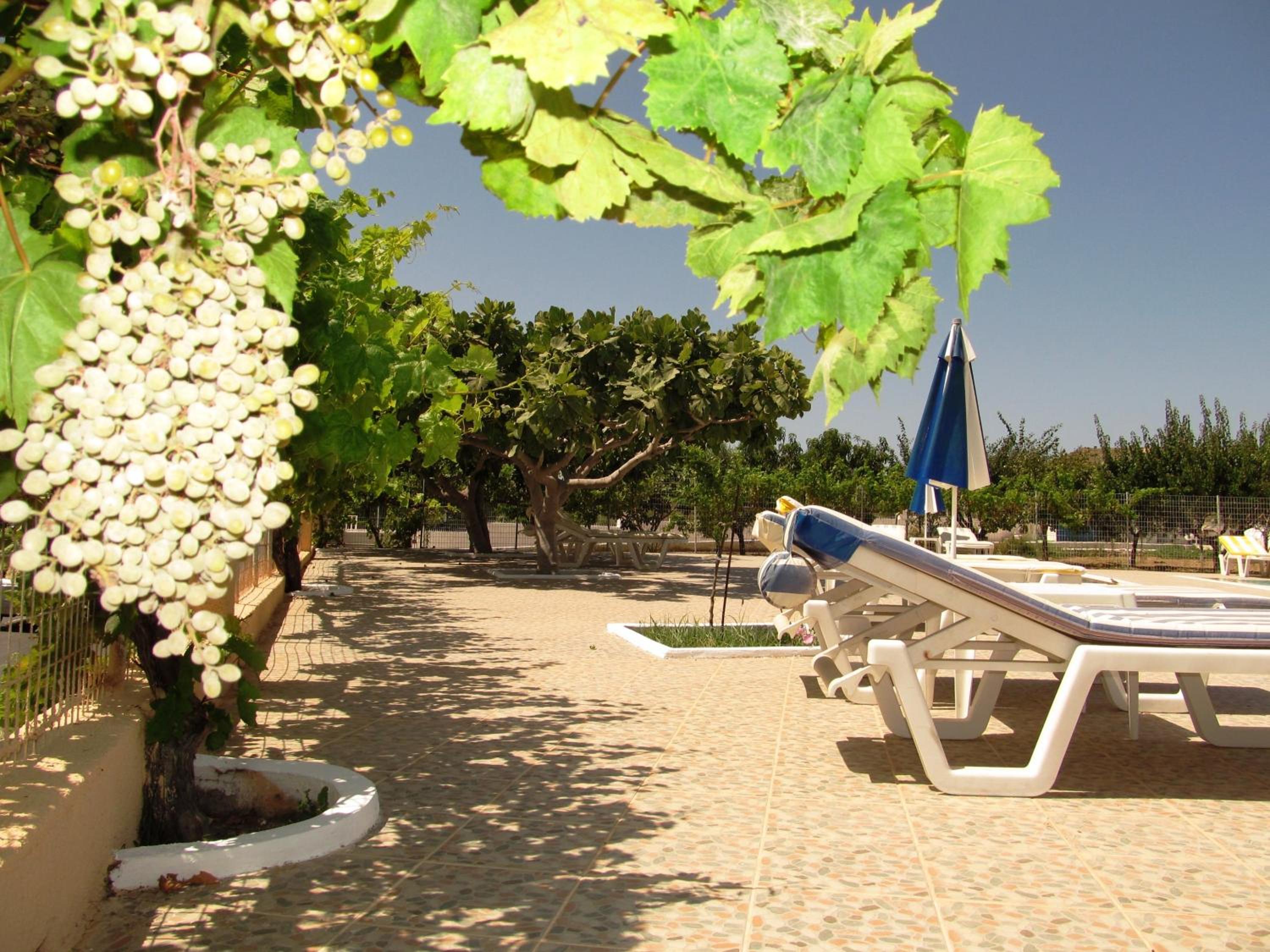 Фото Paraschos Studios