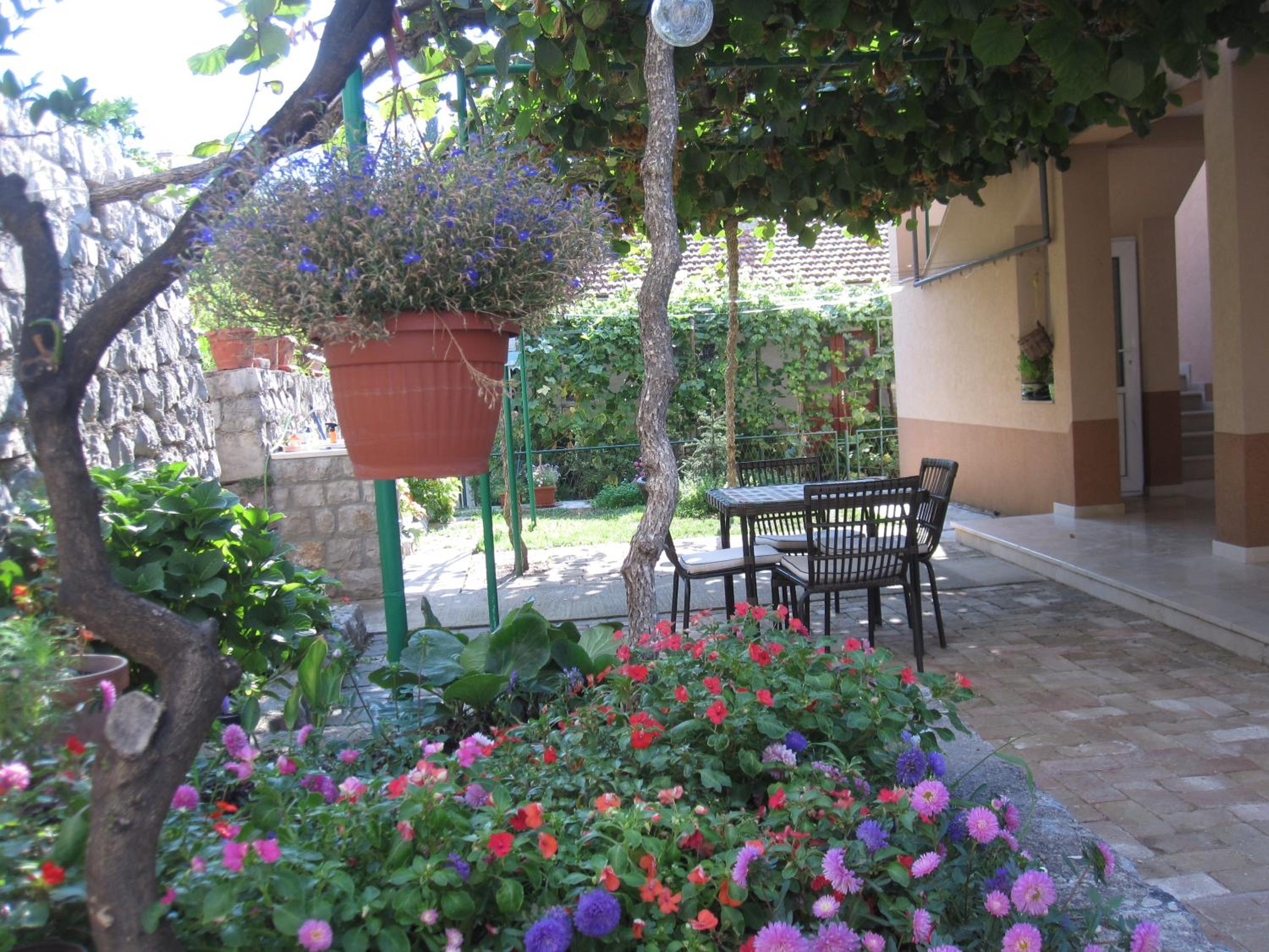 Фото Apartments City Center