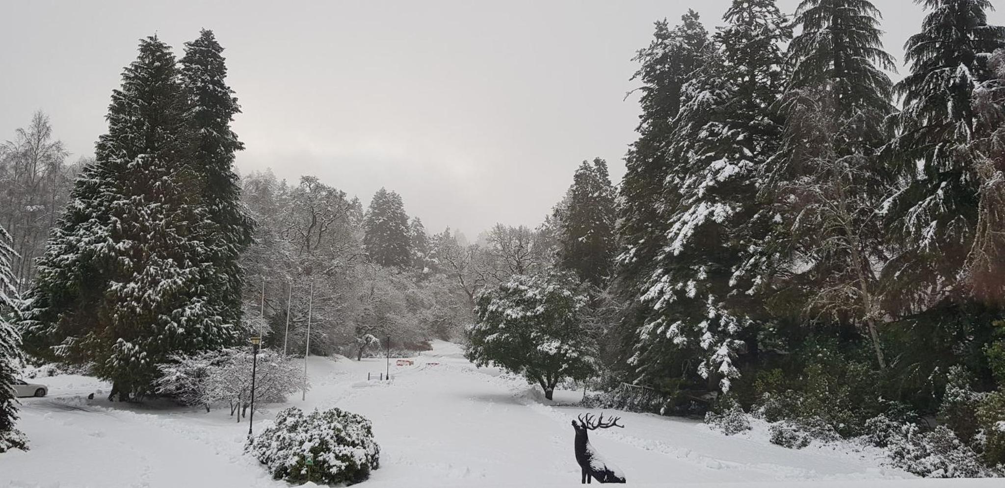 Фото Dunkeld House Hotel