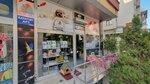 Nota Pet Center (İstanbul, Ümraniye, Elalmış Cad., 72A), pet shop