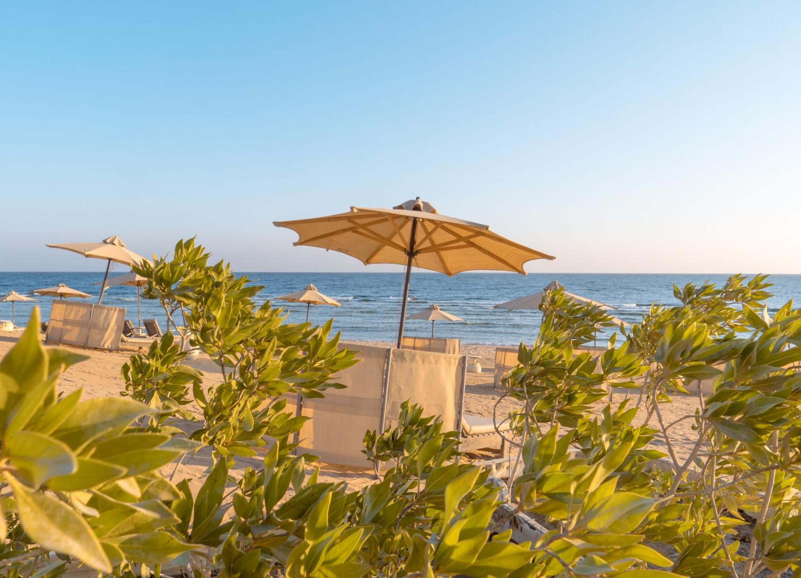 Фото Serenity Alpha Beach