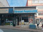 Local Cheesemaking (Istanbul, Esenyurt, Baliyolu Neighborhood, Amasyalilar Avenue, 60) ، معمل ألبان