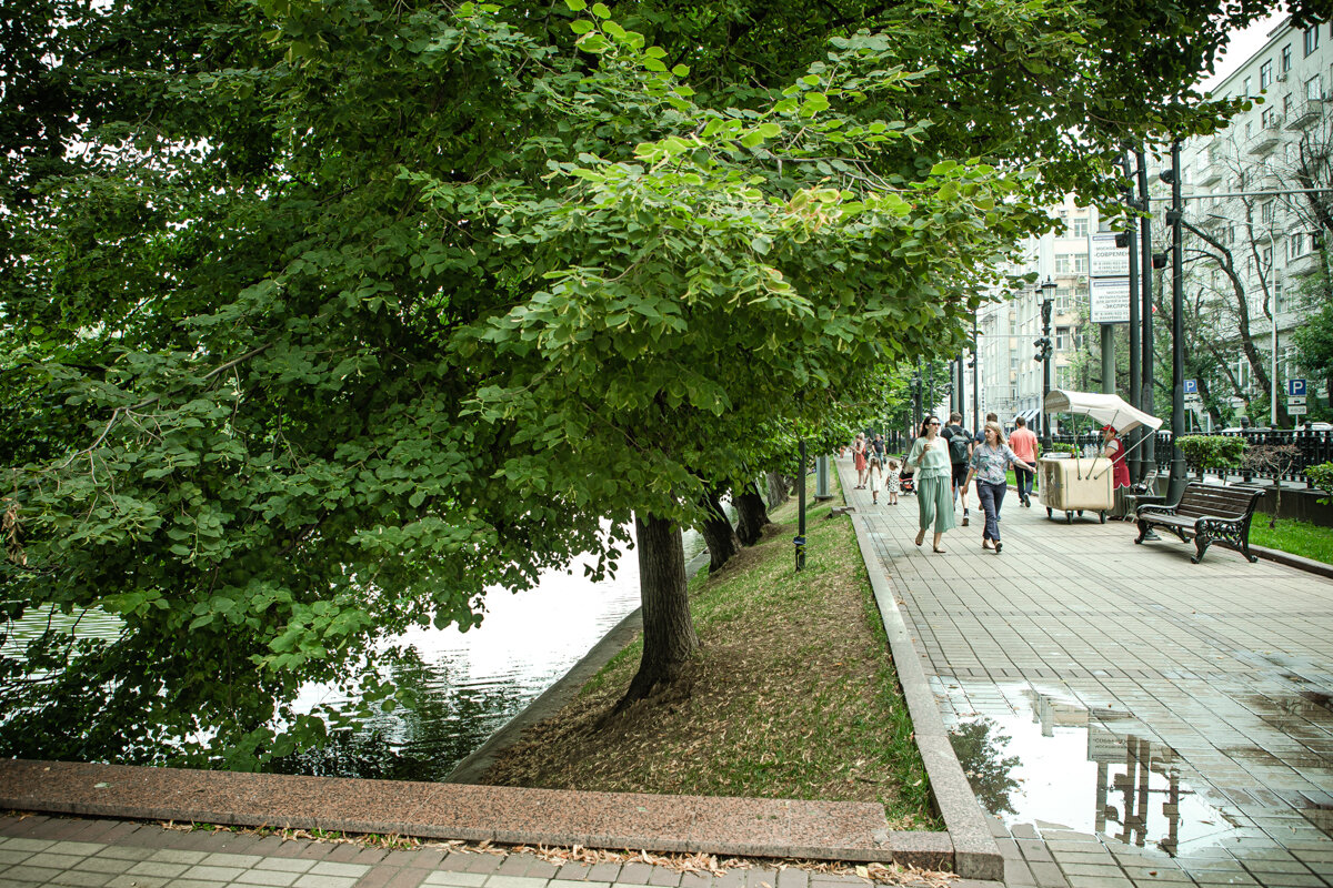 Фото ElenaSweetHome на Чистых Прудах