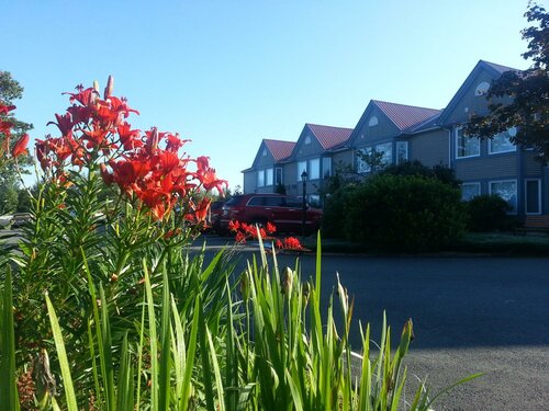 Гостиница Granite Town Hotel