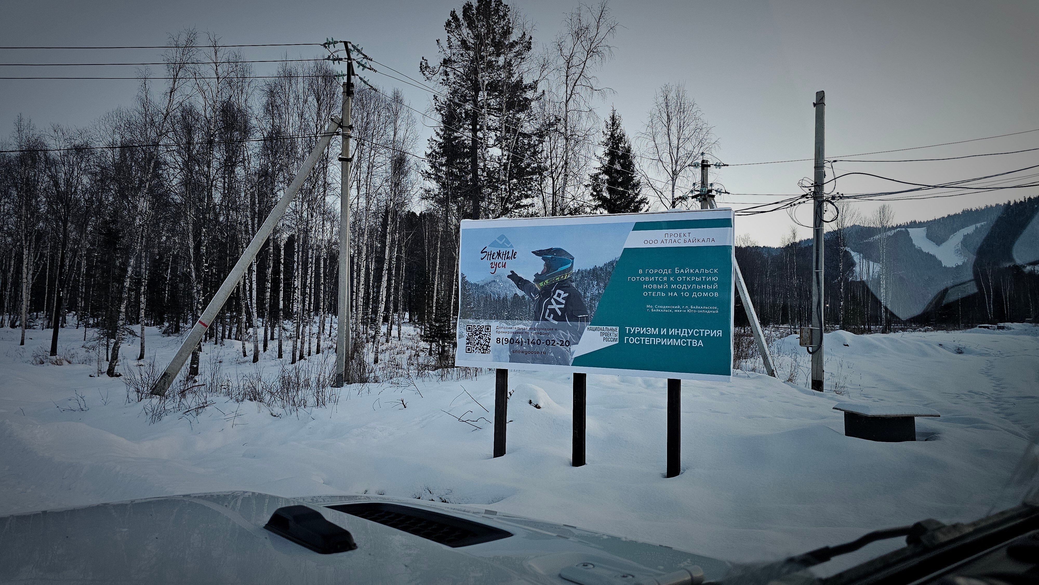 Фото Снежные Гуси