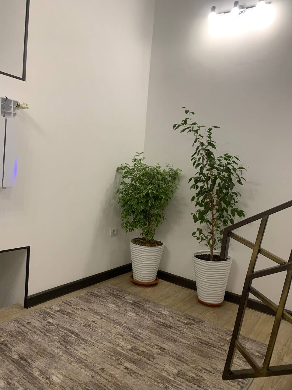 Фото Империал