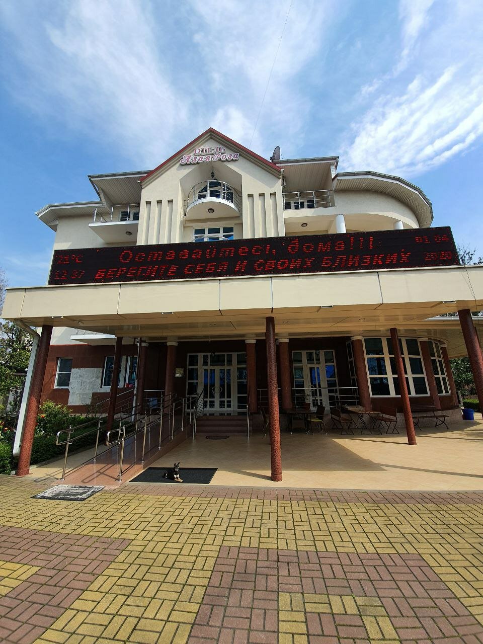 Фото Алая Роза