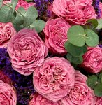 Tsvety & Decor (Frunze Avenue, 90), flower shop