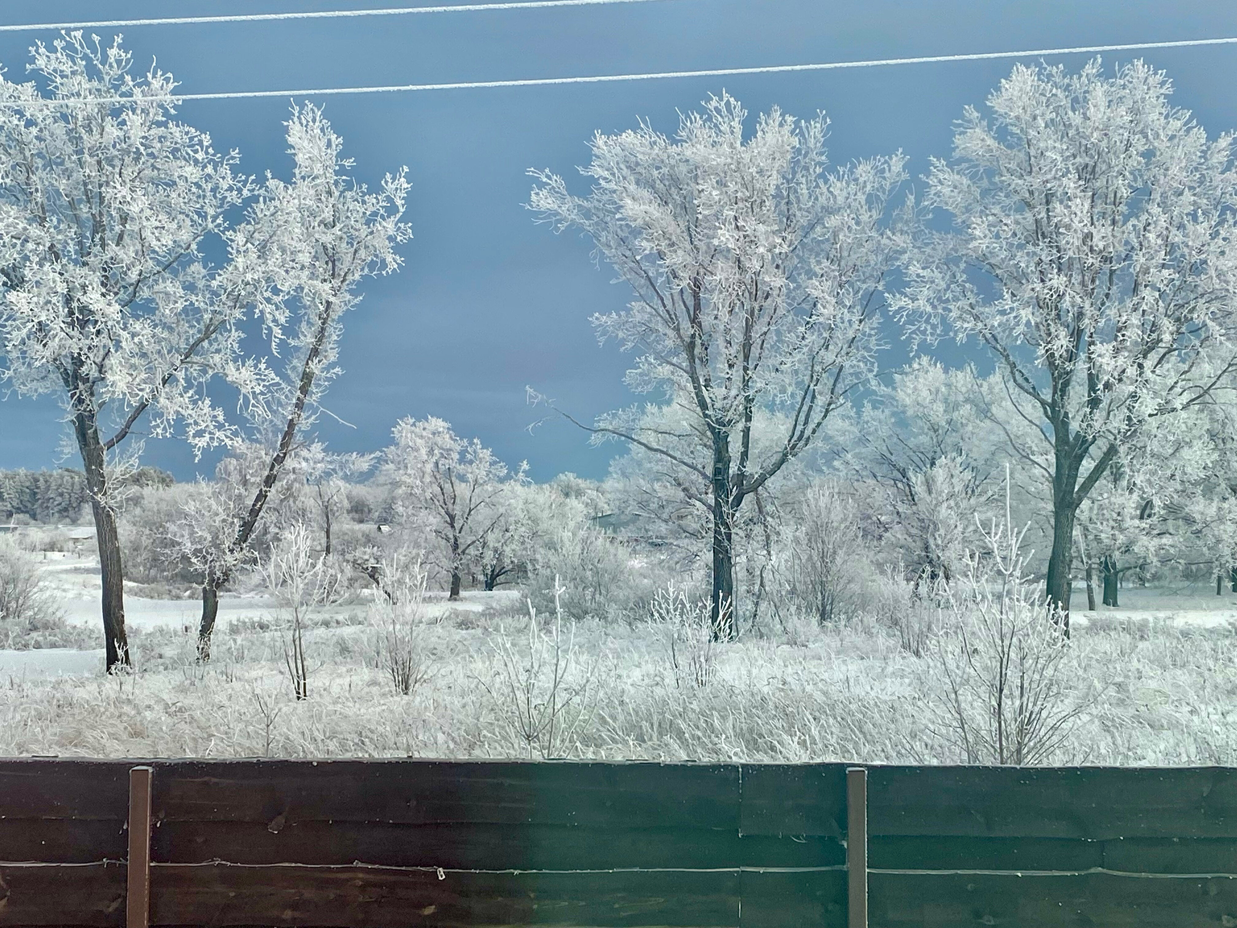 Фото Экодом у пруда