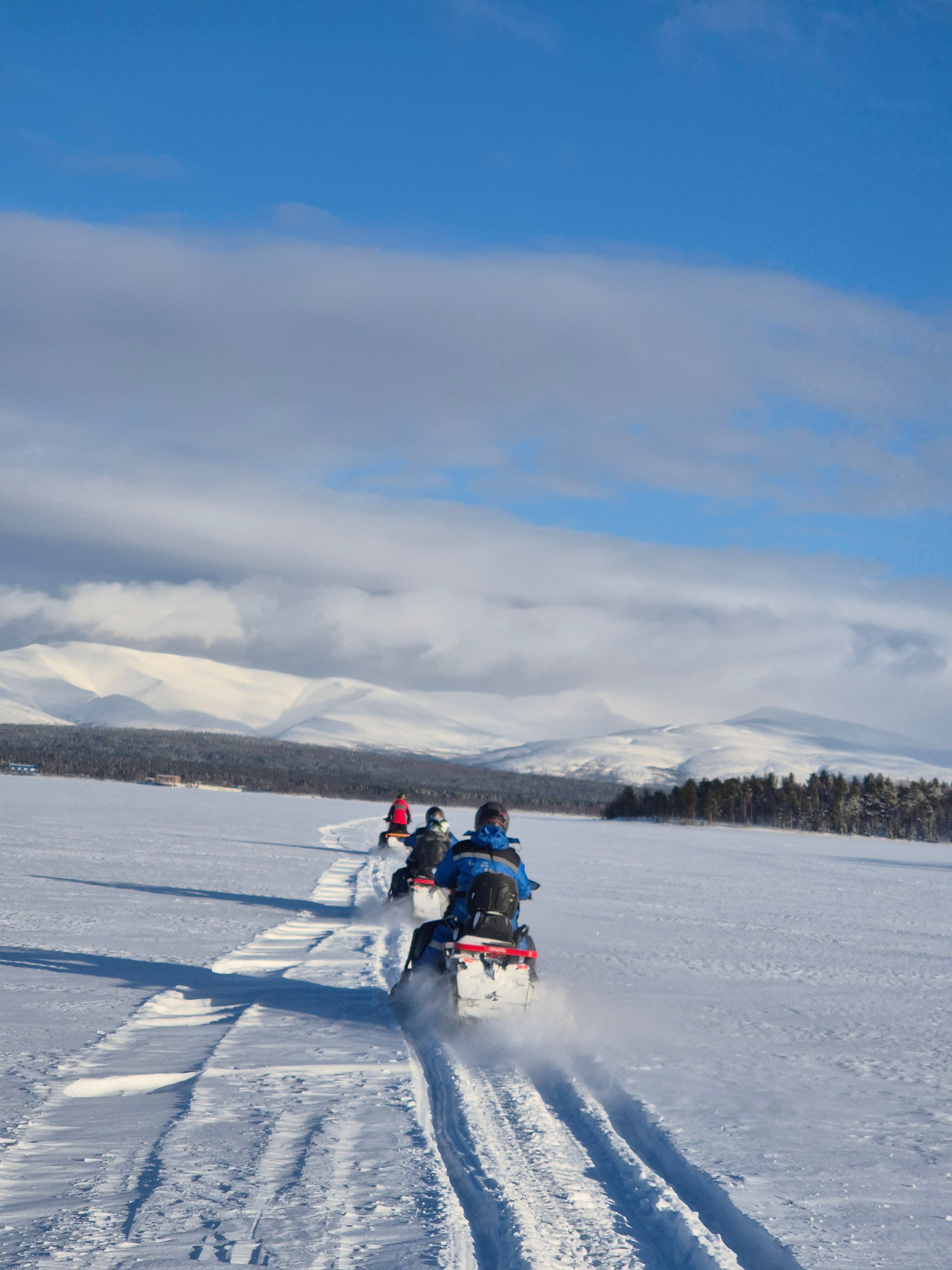 Фото Лесная