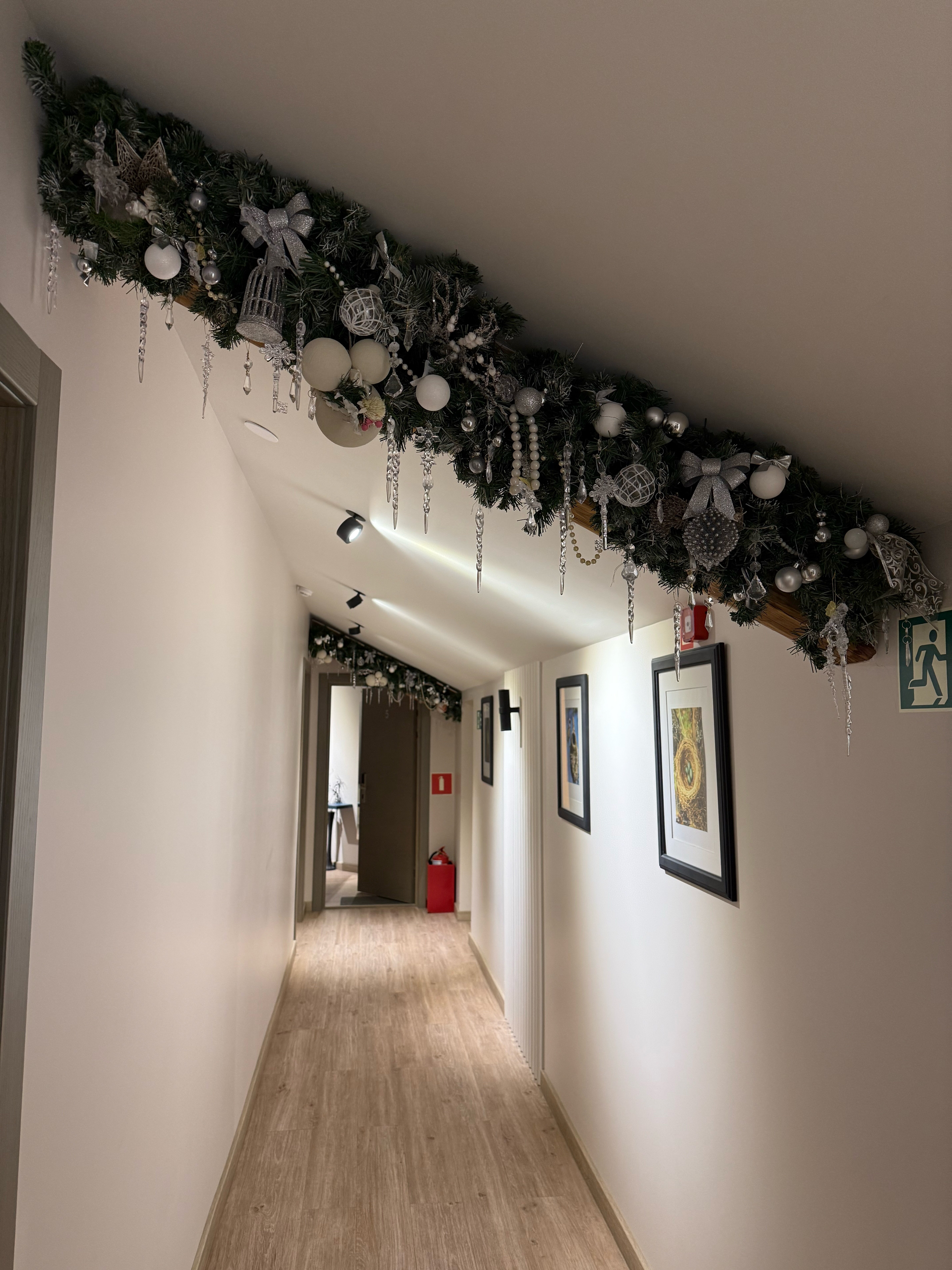 Фото Гнёздышко