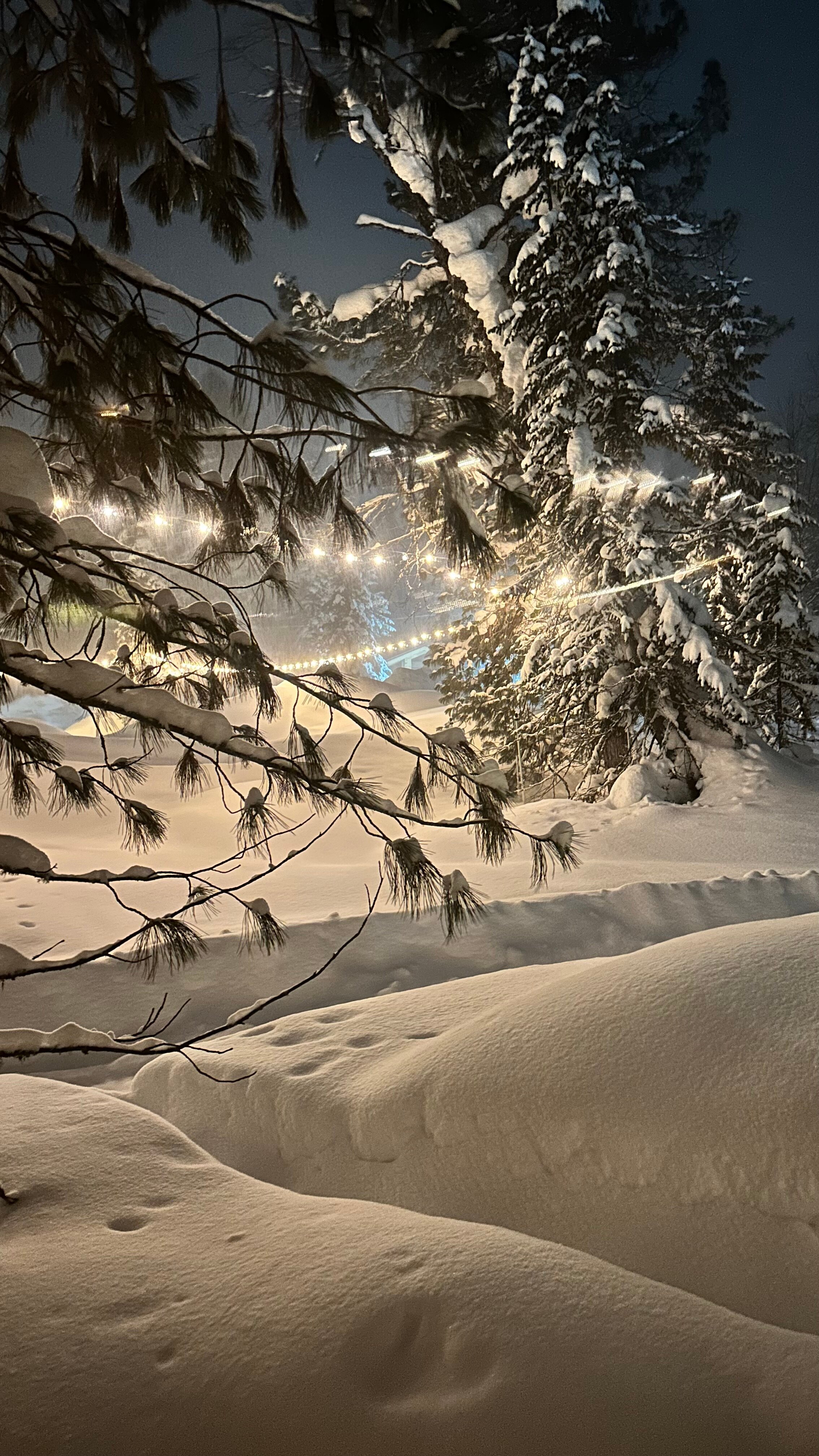 Фото 3 Богатыря