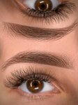 Kristina. brows (Dybenko Street, 122) ، شريط حاجب العين