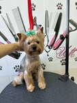 Груминг собак (Perspektivnaya ulitsa, 38), salón de mascota, peluquería de animales