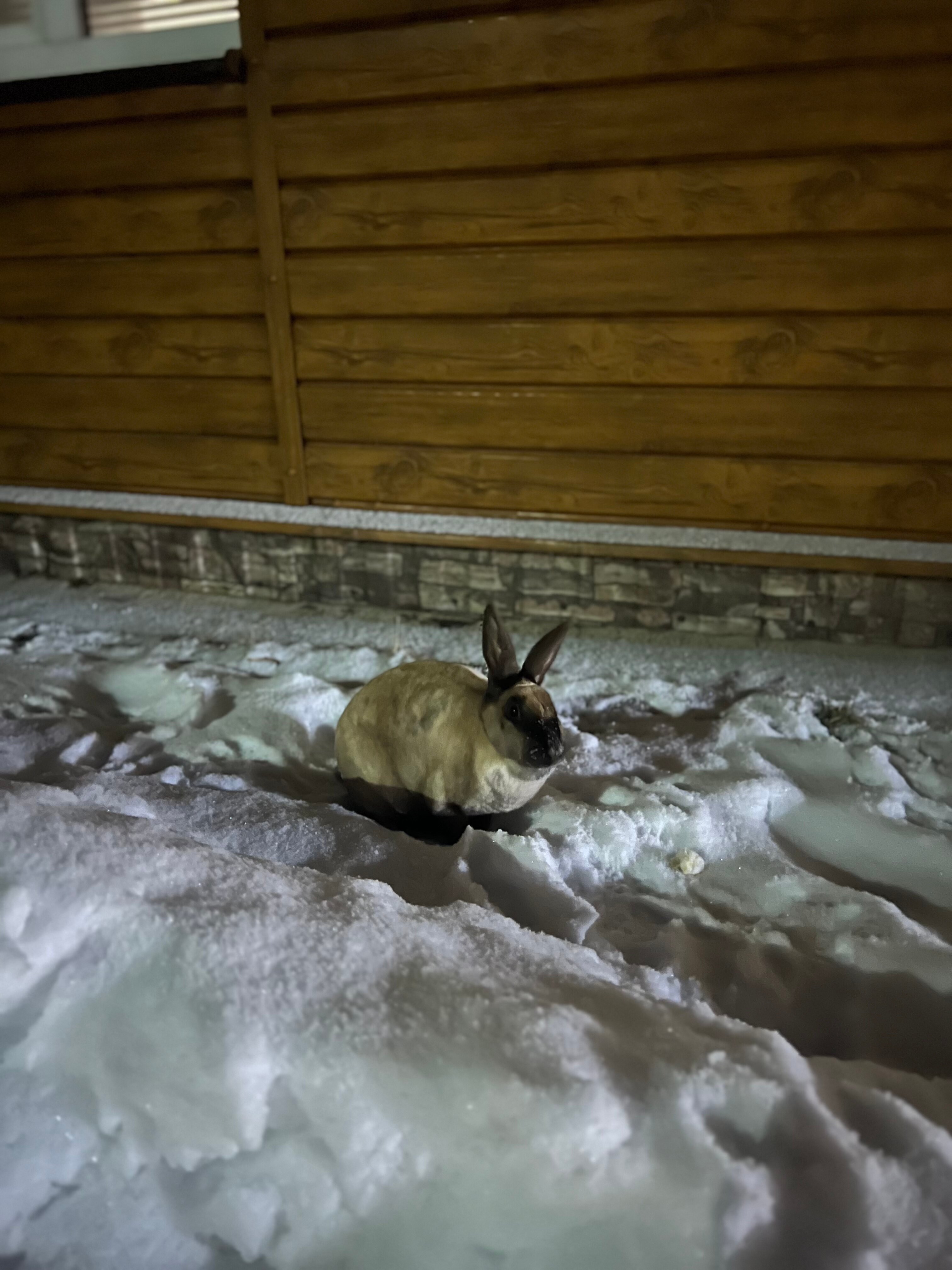 Фото НаХодКа