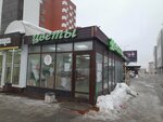 Payment terminal (Kuybysheva Street, 95А), terminal de pago