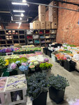 Da Flowers (Spartakovskaya Square, 1/7с16), flower shop