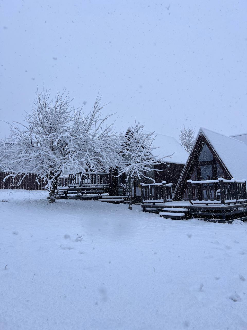 Фото Благость