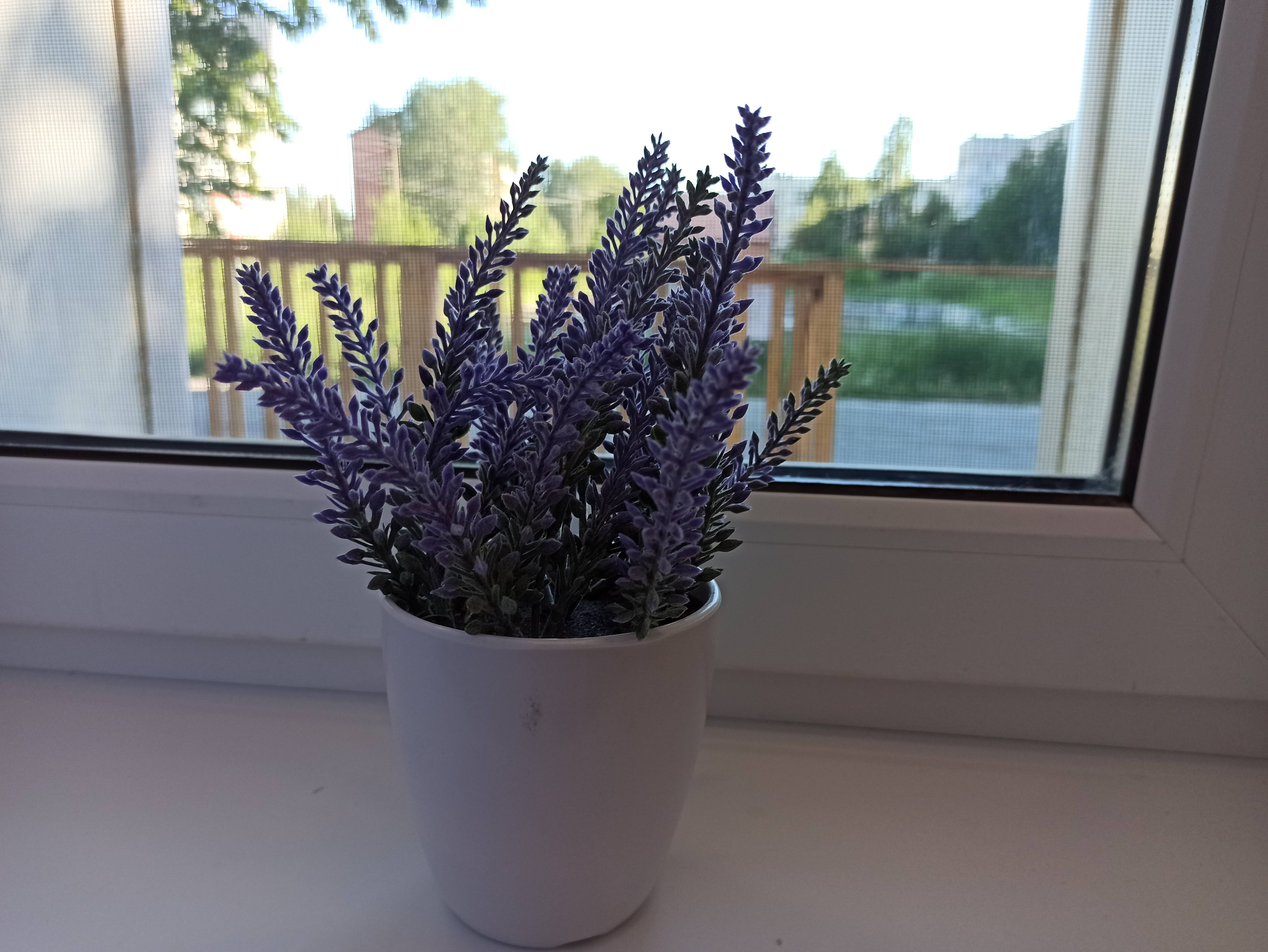 Фото Гостевой дом Карелия