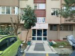Fbk Construction Engineering (Istanbul, Kadikoy, 19 Mayis Neighborhood, Turaboglu Street, 5A/A), engineering