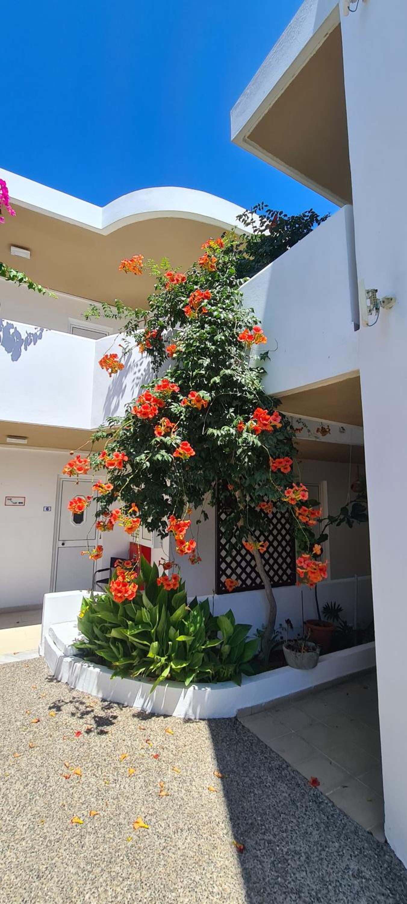 Фото Irina Beach Hotel