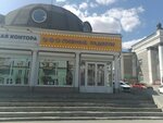 Пивные радости (mikrorayon Novy gorod, prospekt Lenina, 41Б), bar, pub