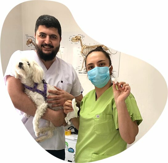 Veterinary clinic Bartin Anka Veterinary Clinic, Bartin, photo