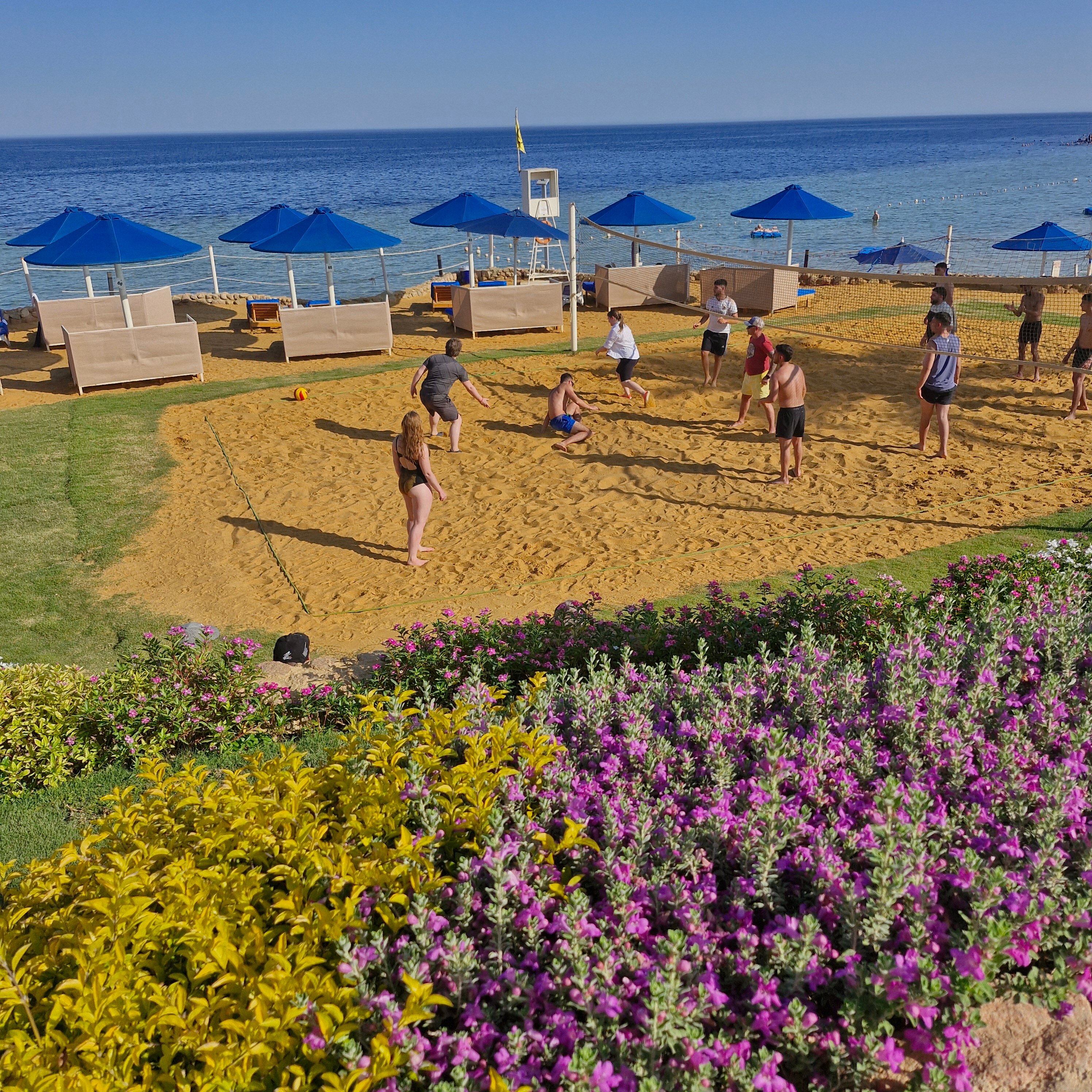 Фото Pickalbatros Royal Grand Resort