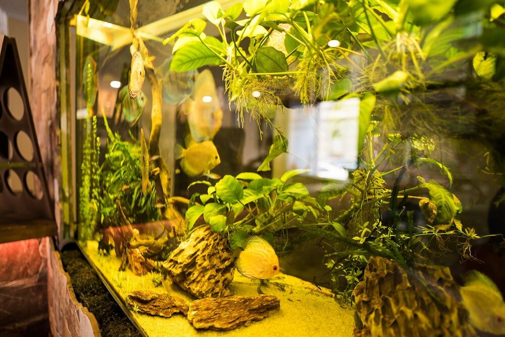 Фото Hostel Kings n' Queens