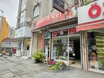Studio Sukru (Istanbul, Gaziosmanpasa, Cengiz Topel Avenue, 164F) ، التصوير الفوتوغرافي