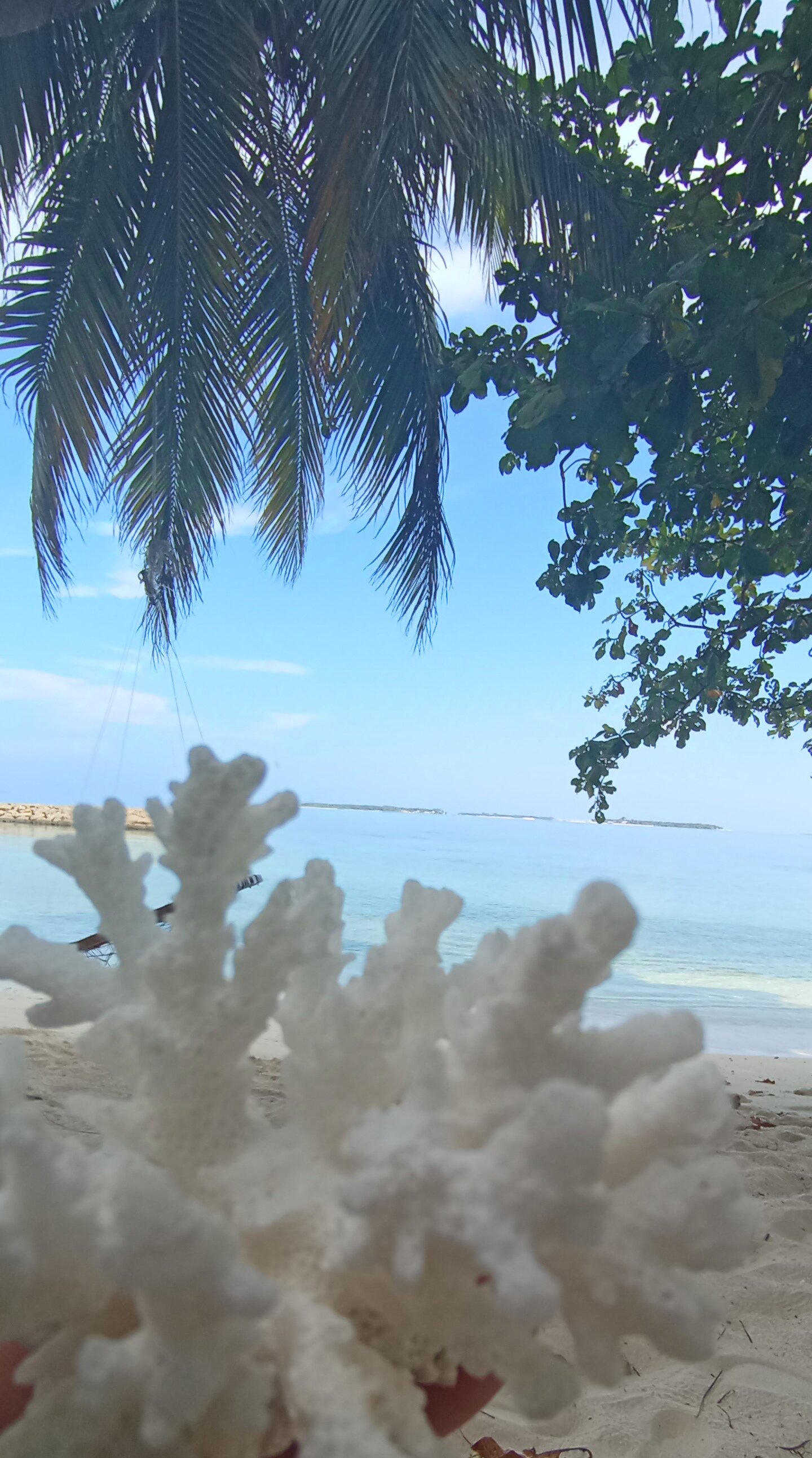 Фото Lvis Blancura