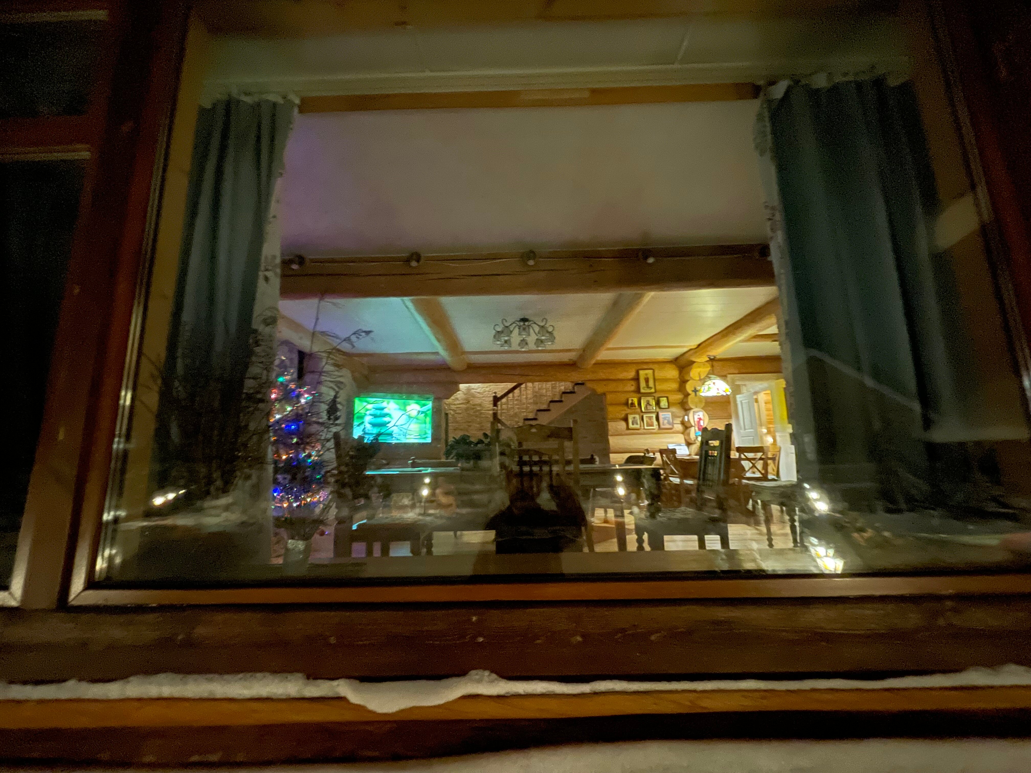 Фото Вырицкий мамонт