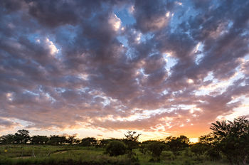Фото The Hilton Bush Lodge