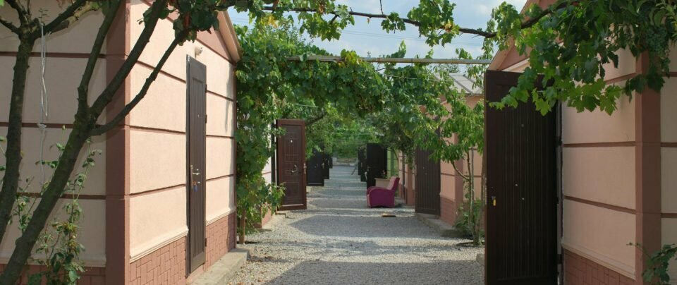 Grocery Aygun Grocery, Basiskele, photo