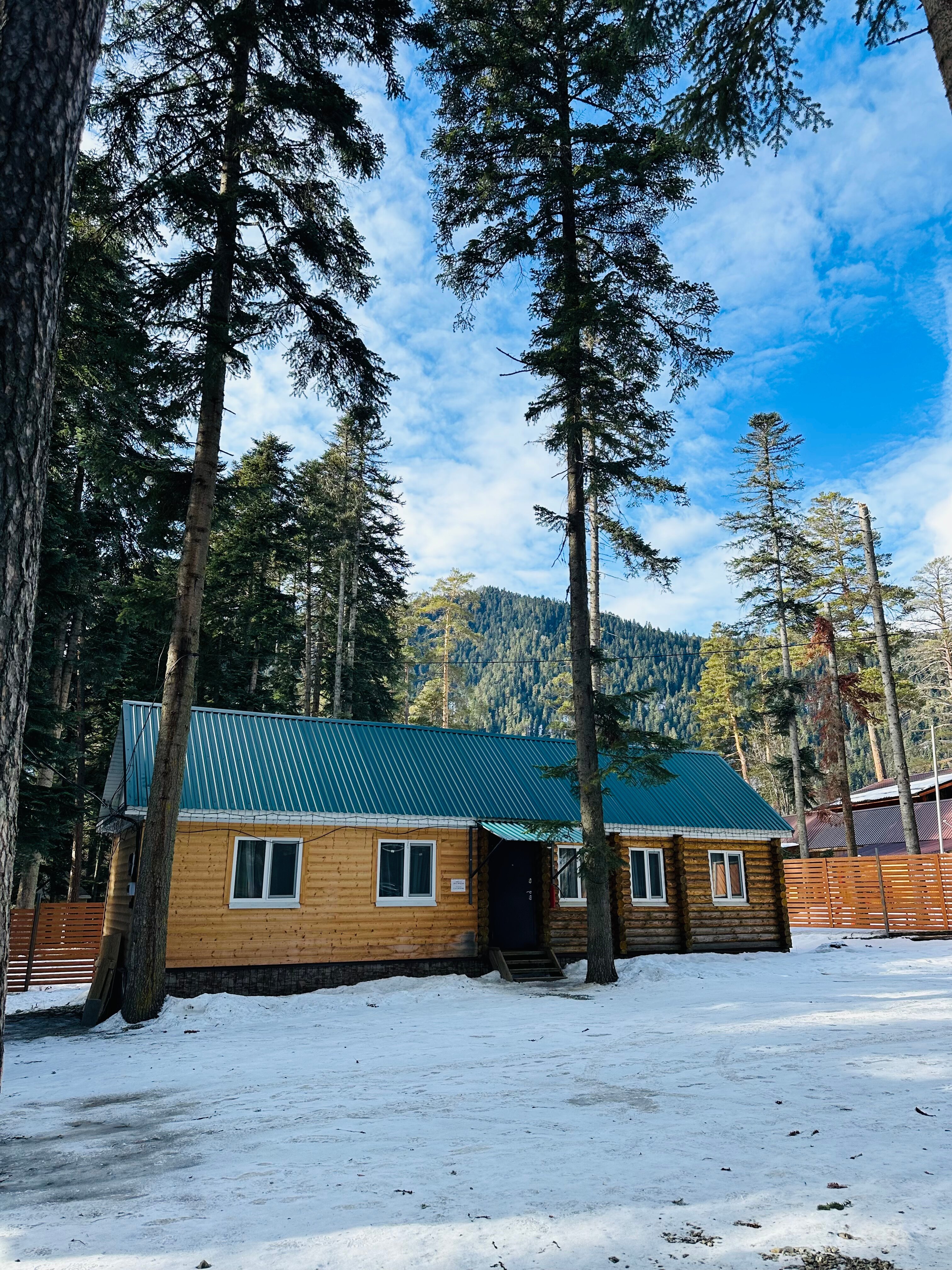 Фото Пихтовый парк