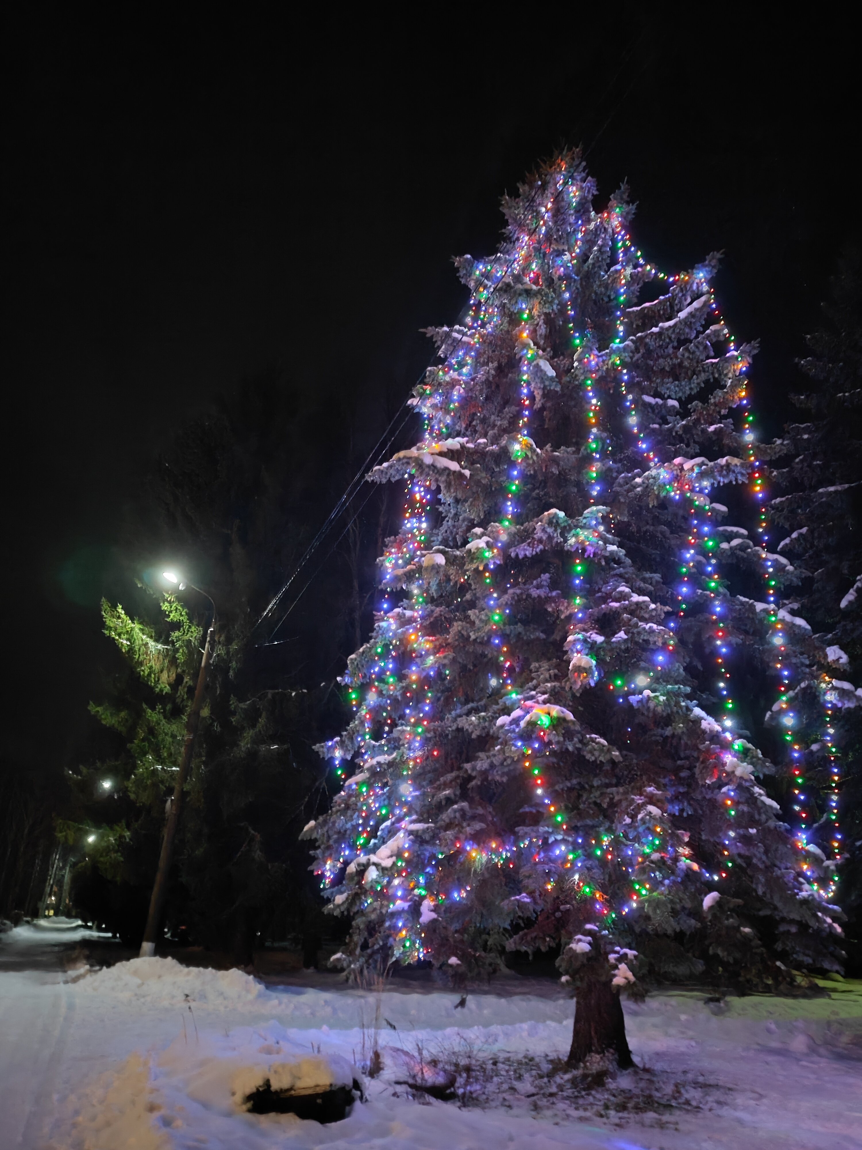 Фото Буревестник