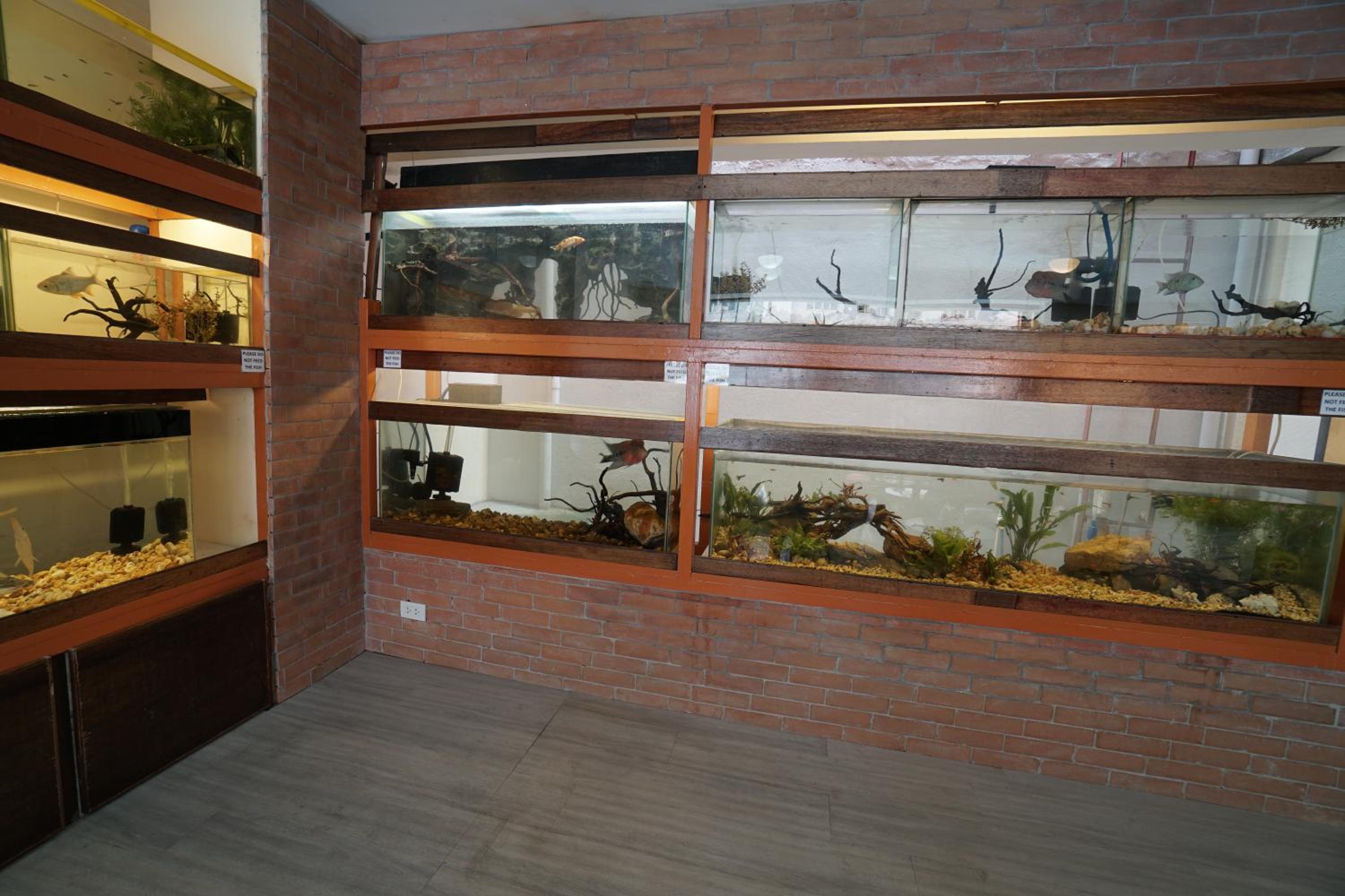 Фото 1775 Adriatico Suites