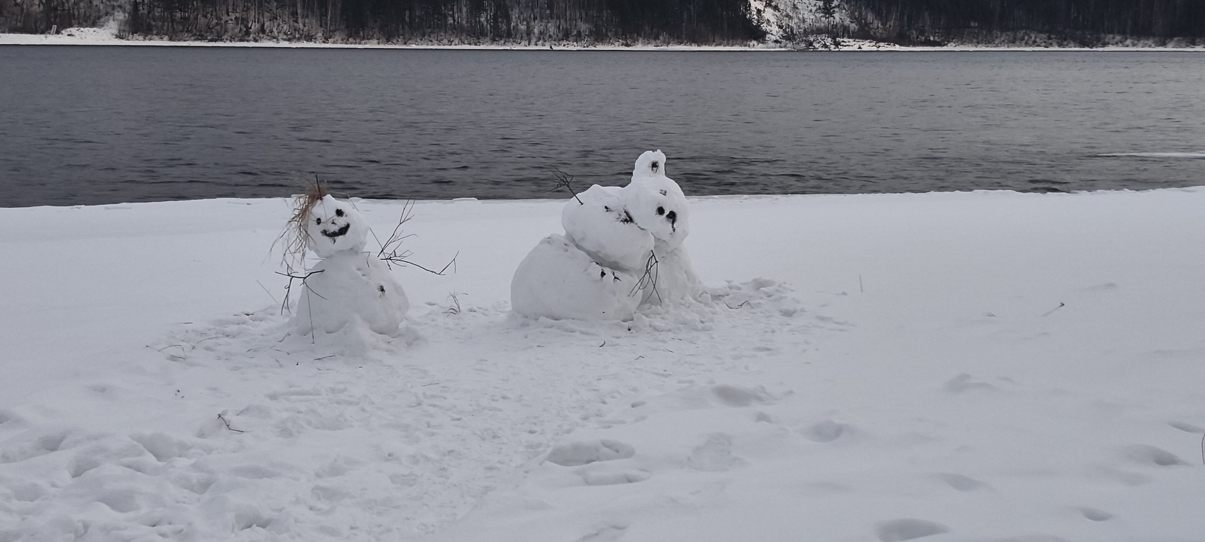 Фото Мишкины Шишки