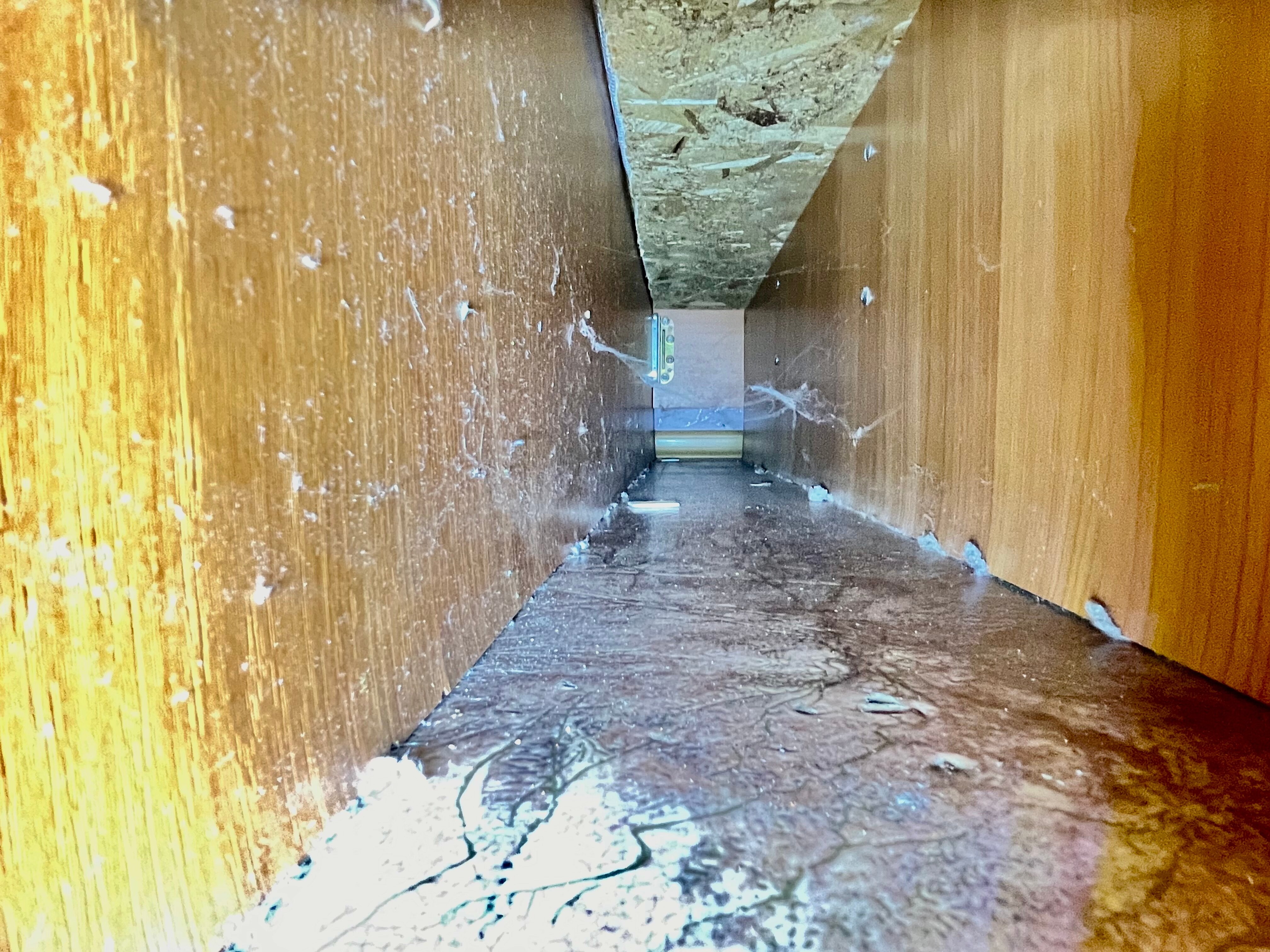 Фото Козырь