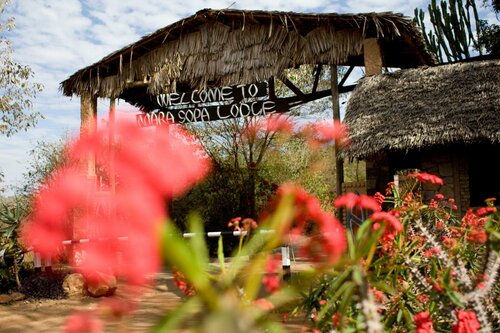 Гостиница Masai Mara Sopa Lodge в Кении