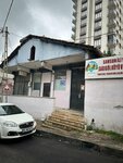 Samsun Province Yakakent District Sarigol Village and Koseli Neighborhood Social Assistance and Solidarity Association (Istanbul, Sultanbeyli, Giresun Avenue, 129), associations and industrial unions