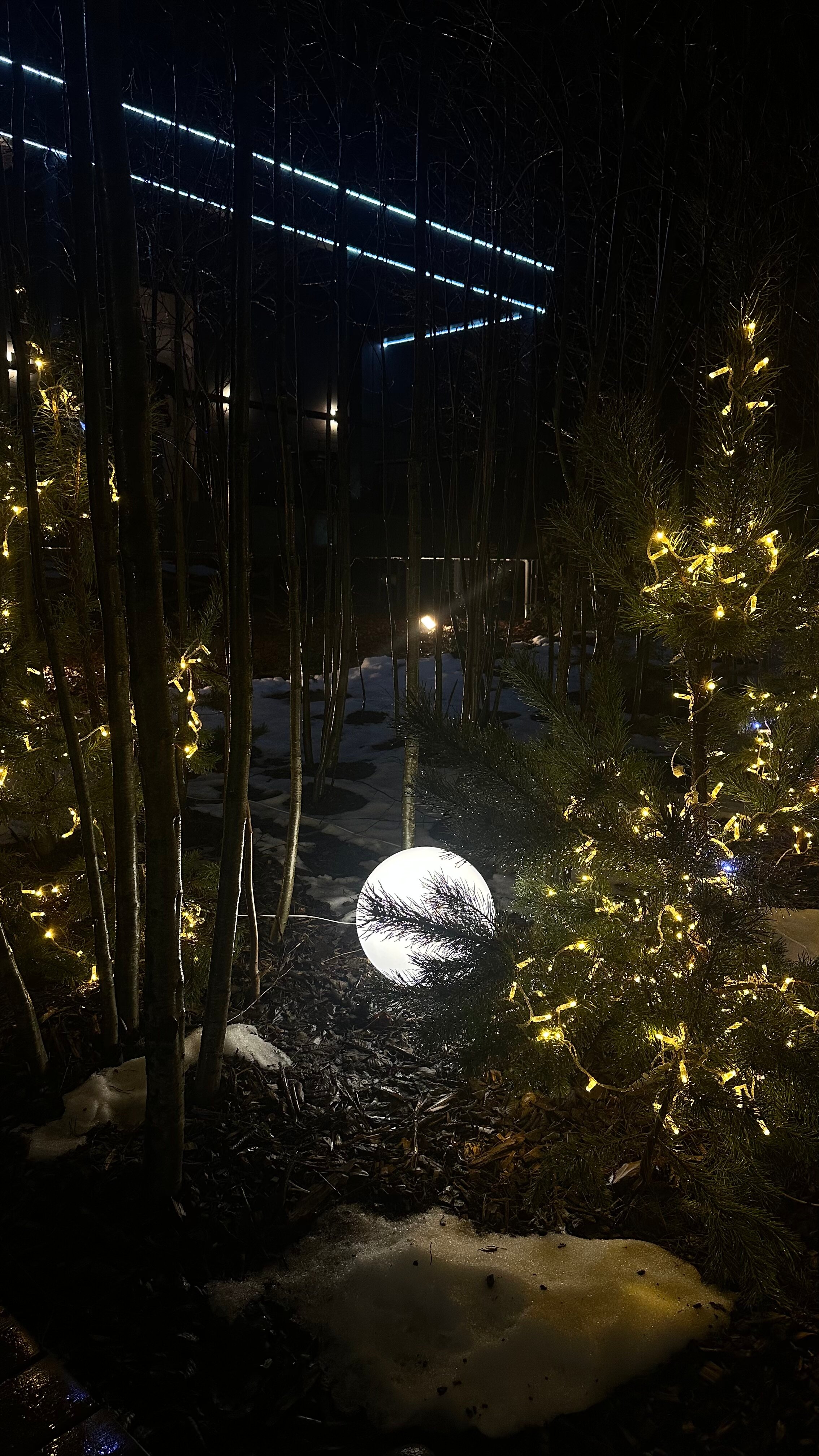 Фото Виллы White Resort Поляны Карелия