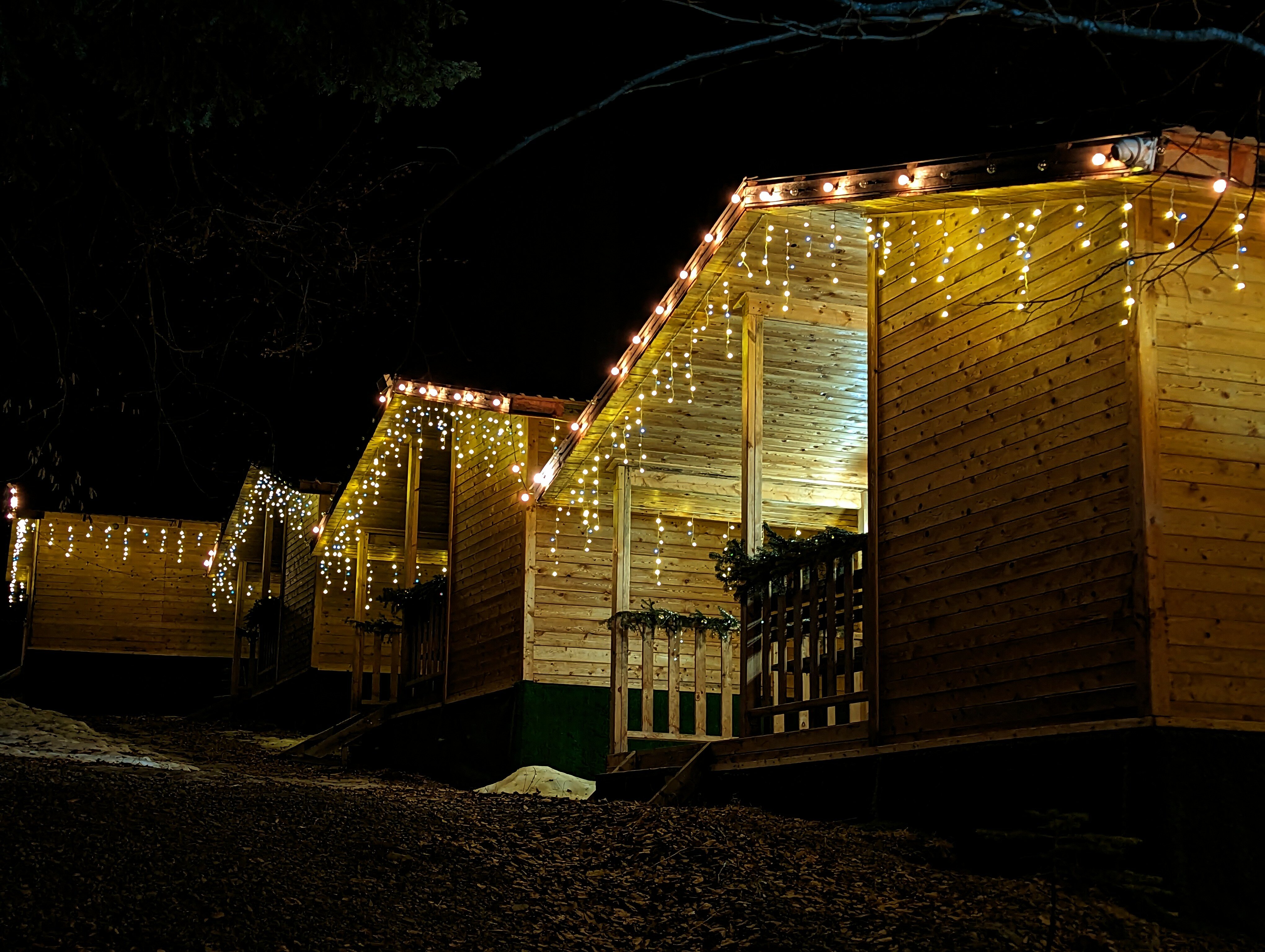 Фото Горная Мята