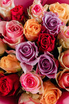 GetBouquet (Bolshaya Kazachya ulitsa, 87/91), flower shop