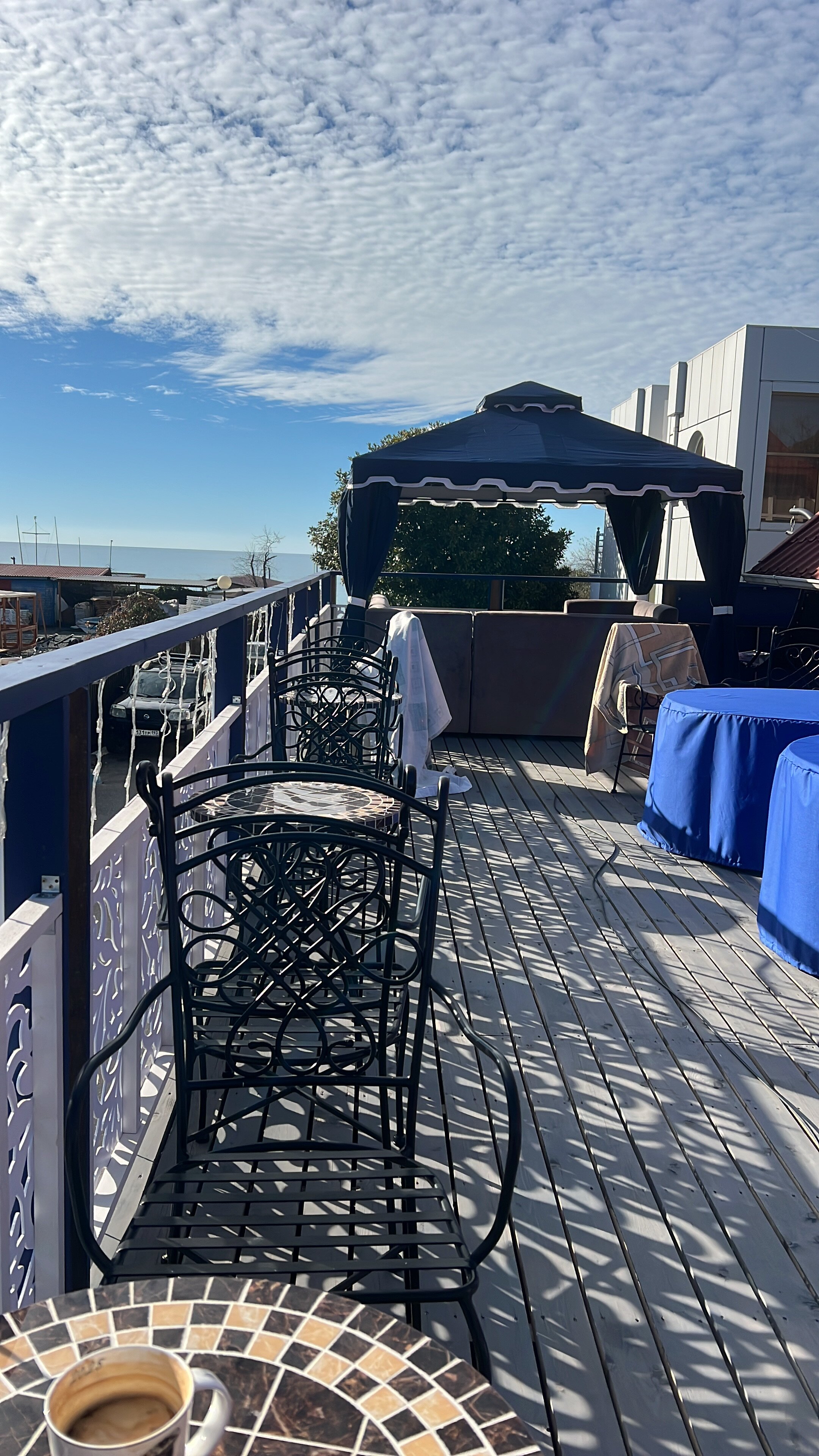 Фото Золотой Поросенок