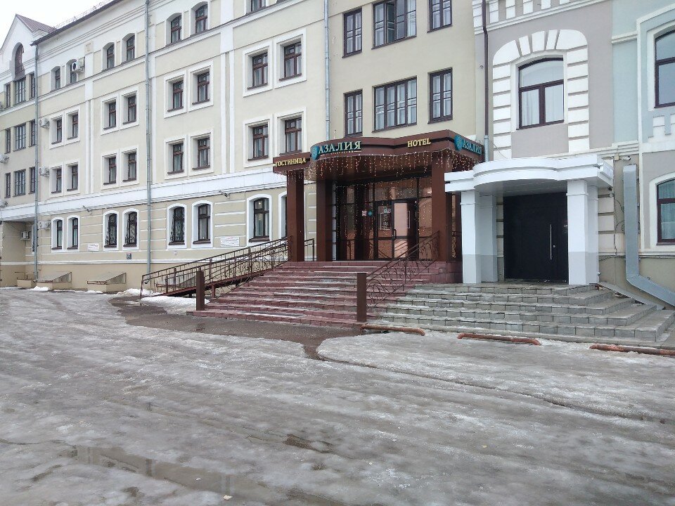 Фото Азалия на Московской