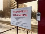 Tyumenskie Zemlemery (Shirotnaya ulitsa, 29), cadastral works