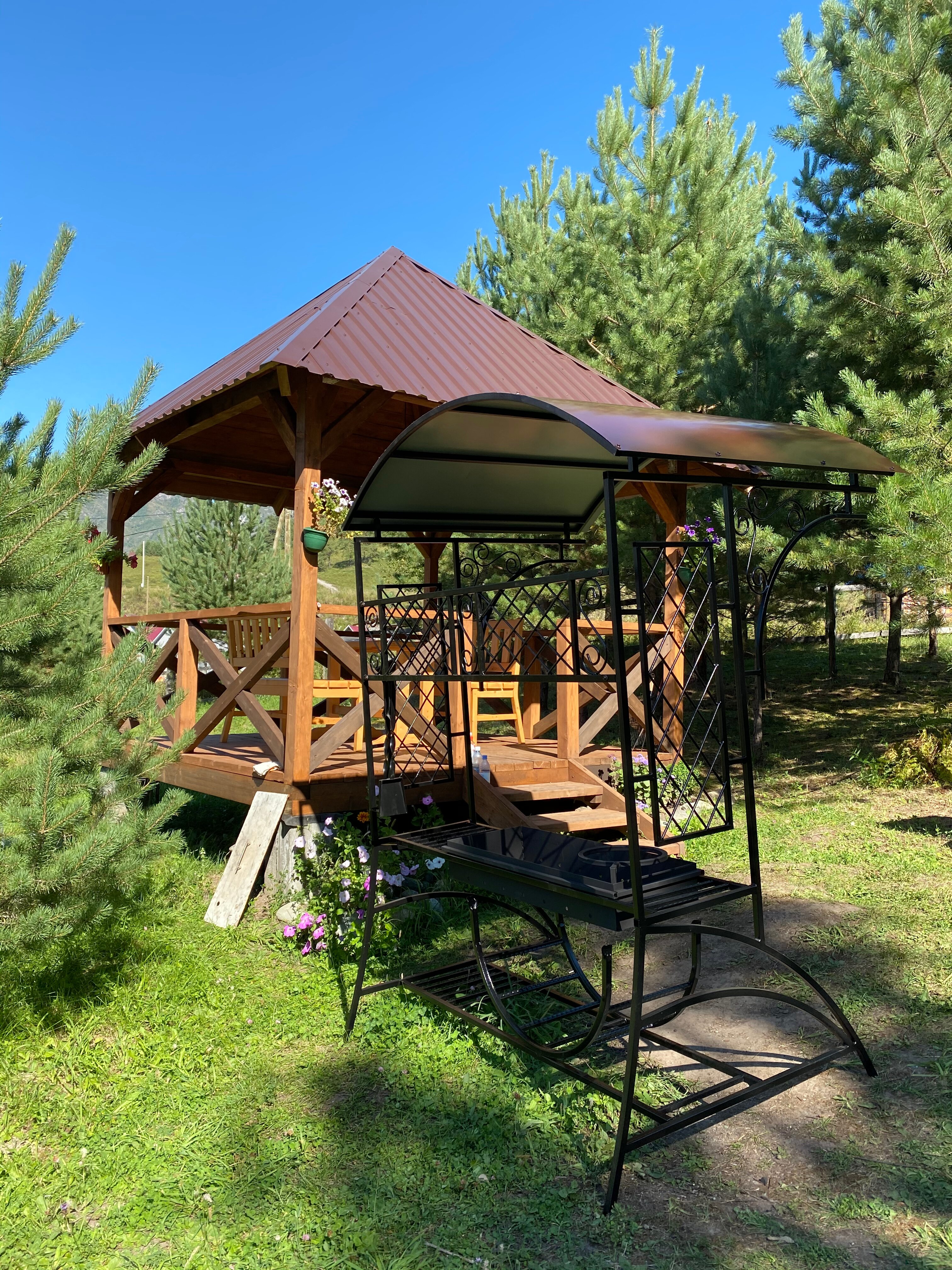 Фото Шишкин лес